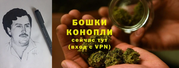 соль ск Арсеньев