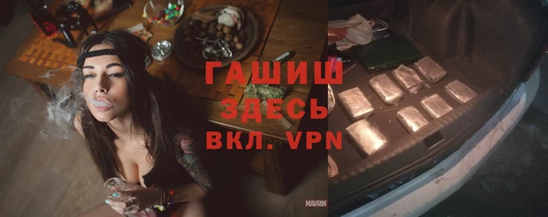 шишки Осинники