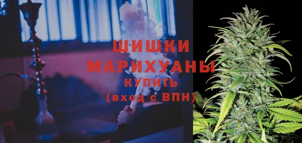 соль ск Арсеньев