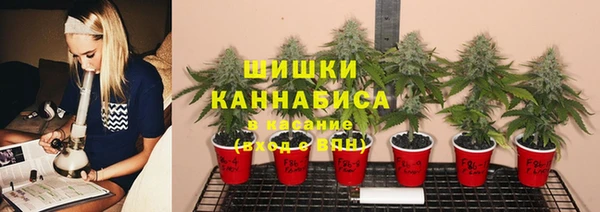 соль ск Арсеньев