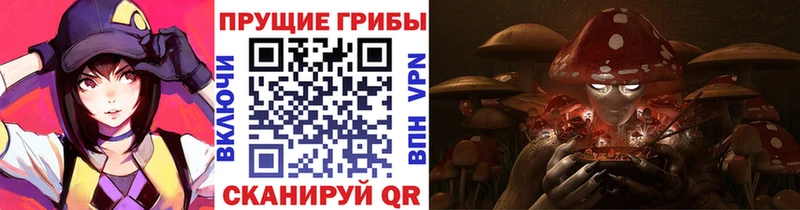 Галлюциногенные грибы мицелий  блэк спрут зеркало  Сосновка 